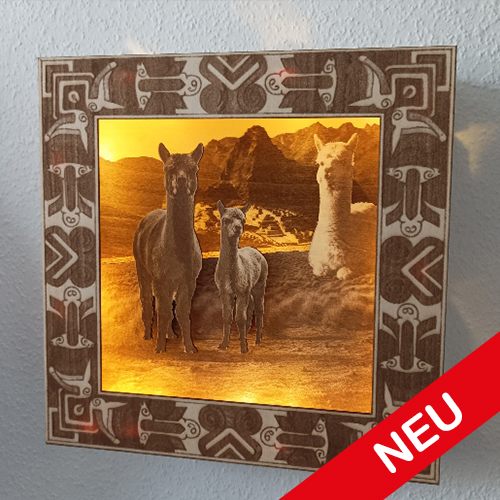 Beschreibung des Bildes