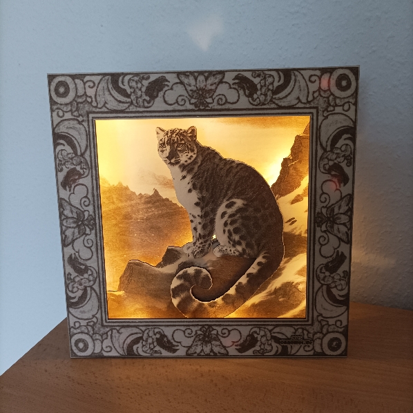 Modell Lichterbild_Schneeleopard_01